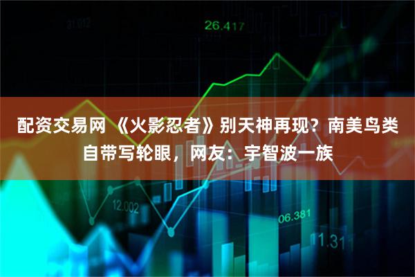 配资交易网 《火影忍者》别天神再现？南美鸟类自带写轮眼，网友：宇智波一族