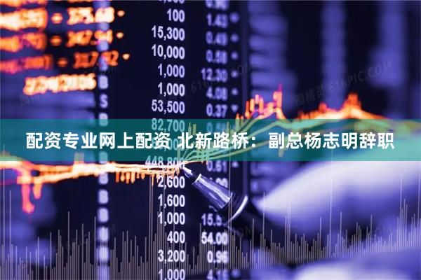 配资专业网上配资 北新路桥：副总杨志明辞职